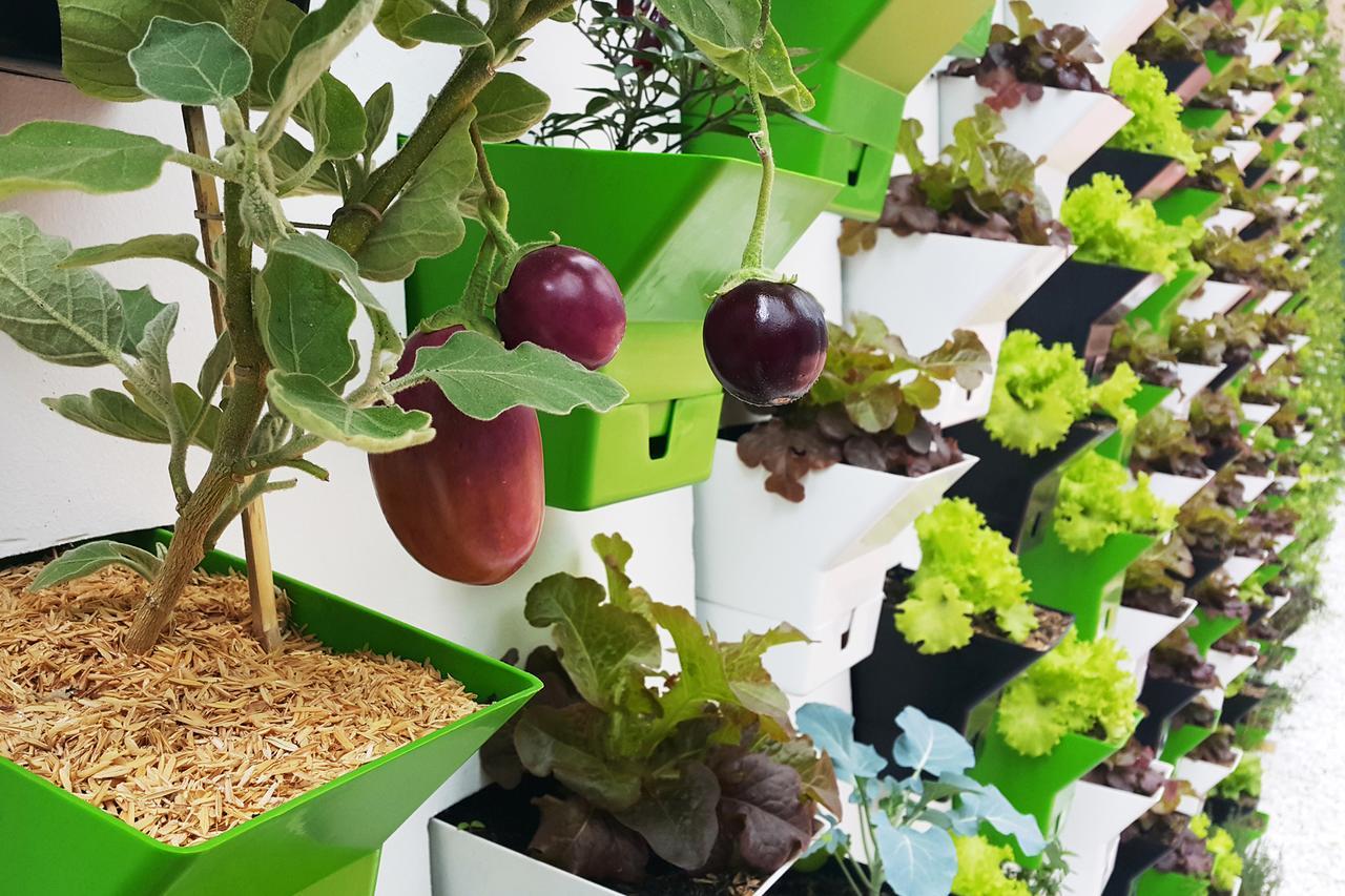 Biohotel Organic Suites Bogotá Eksteriør bilde